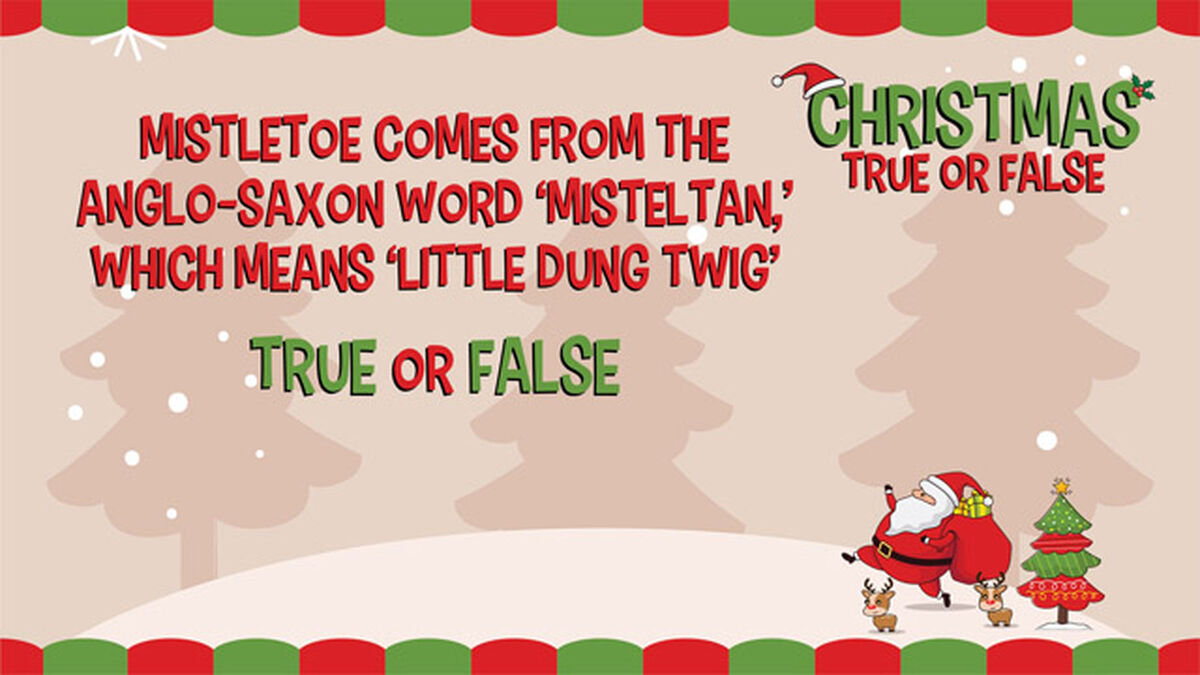 Christmas True or False image number null